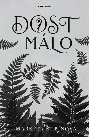 Young adults Dost málo - Markéta Kubínová