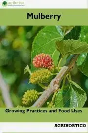 Hobby - ostatné Mulberry