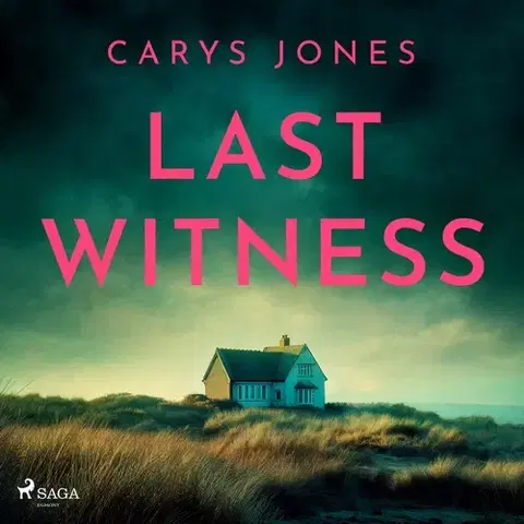 Detektívky, trilery, horory Saga Egmont Last Witness (EN)
