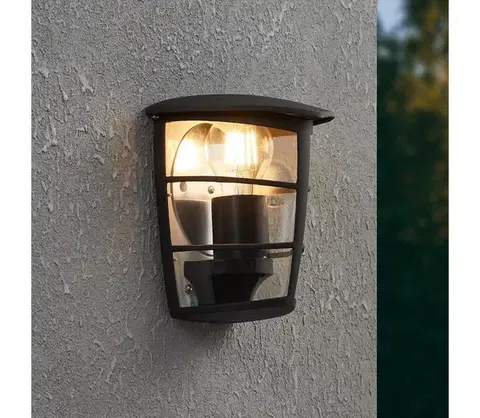 Záhradné lampy Eglo 93407 - Vonkajšie nástenné svietidlo ALORIA 1xE27/60W/230V IP44 93407