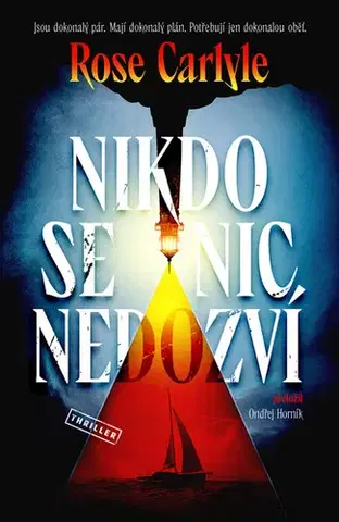 Detektívky, trilery, horory Nikdo se nic nedozví - Rose Carlyle