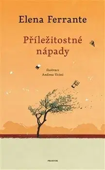 Eseje, úvahy, štúdie Příležitostné nápady - Elena Ferrante