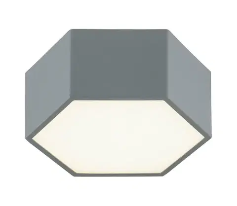 Svietidlá Argon 8784 - LED Stropné svietidlo LIBERO LED/12W/230V 3000K šedá 8784