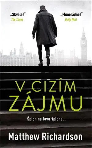 Detektívky, trilery, horory V cizím zájmu - Richardson Matthew