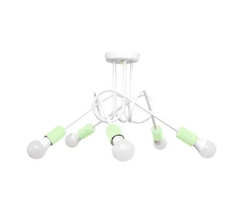 Svietidlá  Prisadený luster OXFORD 5xE27/15W/230V W-2016/5 WT+MT/H