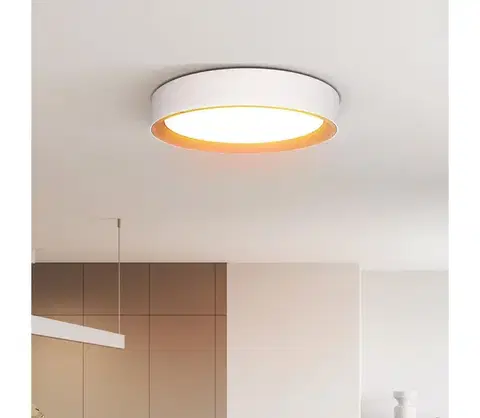 Svietidlá  WO8017 - LED Stm. strop. svietidlo LARIOS LED/48W/230V+DO pr.39 cm biela WO8017