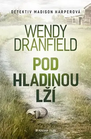Detektívky, trilery, horory Pod hladinou lží - Wendy Dranfield,Jana Vlčková