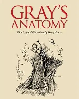 Biológia, fauna a flóra Grays Anatomy - Henry Gray,Henry Gray