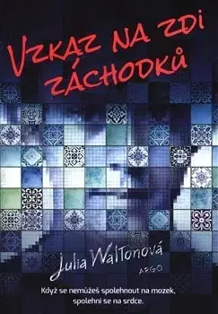 Svetová beletria Vzkaz na zdi záchodků - Julie Waltonová,Hana Petráková