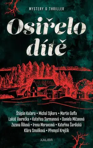 Novely, poviedky, antológie Osiřelo dítě - Martin Goffa,Michal Sýkora,Daniela Mičanová,Kateřina Surmanová,Štěpán Kučera
