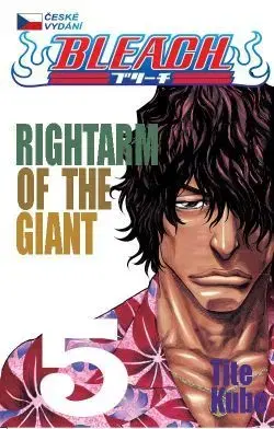 Manga Bleach 5: Rightarm of the Giant - Kubo Tite