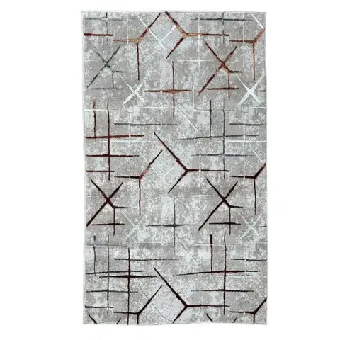 Moderné koberce Koberec Levizze 1,4/1,9 LV2 NA838 LVT44