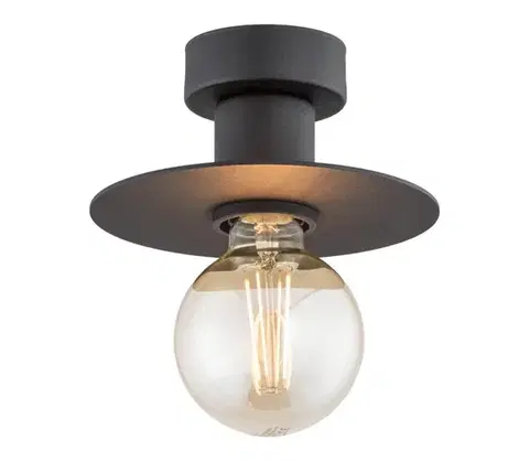 Svietidlá Argon 3882 - Stropné svietidlo CORSO 1xE27/15W/230V čierna 3882