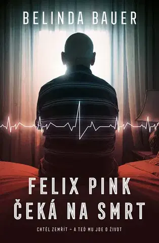 Detektívky, trilery, horory Felix Pink čeká na smrt - Belinda Bauer