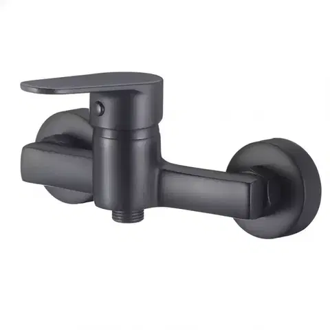 Sprchové batérie Batéria sprchová Neptun Black