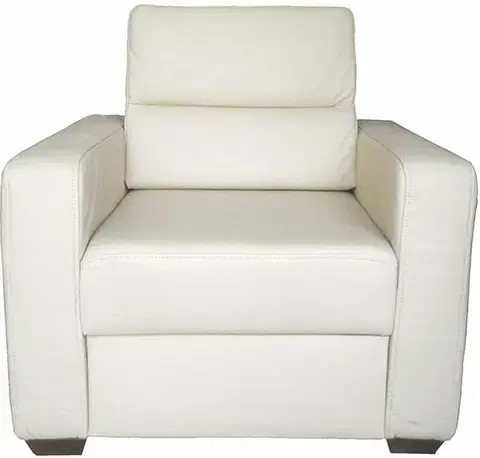 Kreslá PYKA Modern kožené kreslo smotanová (G105)
