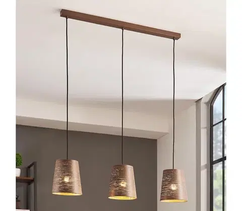Svietidlá Eglo 99438 - Luster na lanku SEGEZIA 3xE27/40W/230V 99438