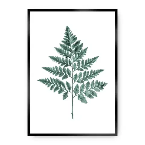 Obrazy Plagát Fern 21 x 30 cm Emerald Green