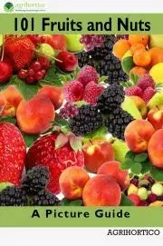 Hobby - ostatné 101 Fruits and Nuts