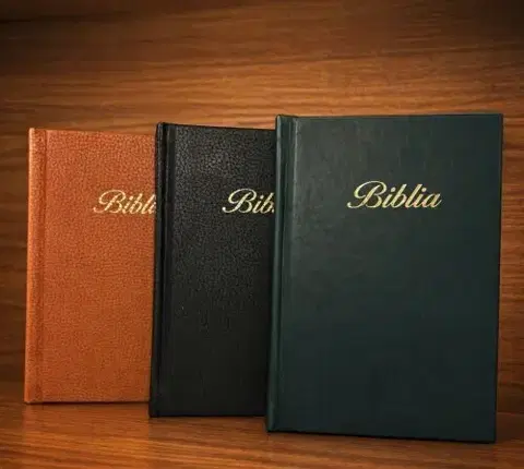 Biblie, biblistika Biblia Tranoscius 2024 so zlatou oriezkou a ozdobným písmom v ekokoži (Zelená)