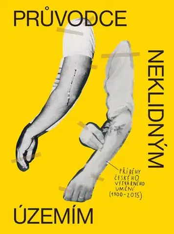 Komiksy Průvodce neklidným územím - David Bohm,Jiří Franta,Ondřej Horák
