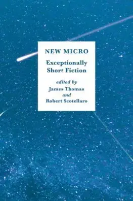 Cudzojazyčná literatúra New Micro Exceptionally Short Fiction - James Thomas,Robert Scotellaro