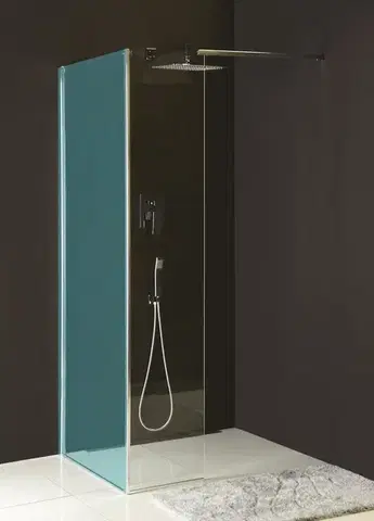 Sprchovacie kúty POLYSAN - MODULAR SHOWER prídavný panel na inštaláciu na stenu modulu 2, 1000 ľavý MS2B-100L