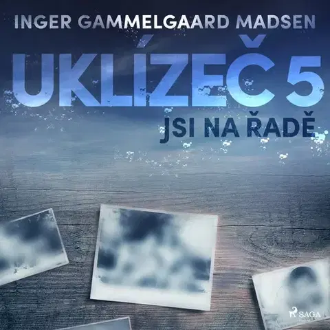 Detektívky, trilery, horory Saga Egmont Uklízeč 5: Jsi na řadě