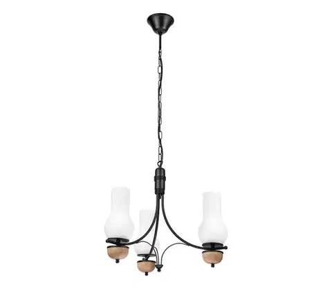 Svietidlá BRILAGI - LED luster na reťazi COTTAGE 3xE14/40W/230V dub/čierna/biela BG1520+3xBG2270