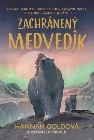 Pre deti a mládež - ostatné Zachránený medvedík - Hannah Gold,Levi Pinfold,Adriana Oravcová