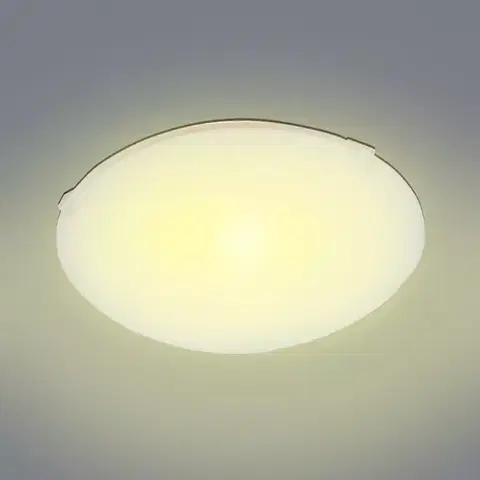 Lampy do obývačky Stropnica GLASS 250Y CLEAR D25 PL1