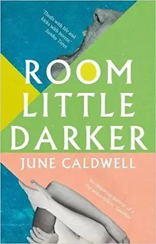 Cudzojazyčná literatúra Room Little Darker - June Caldwell
