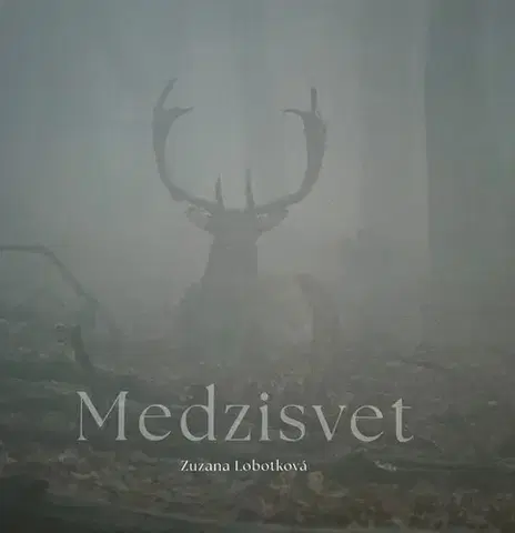 Fotografia Medzisvet - Zuzana Lobotková