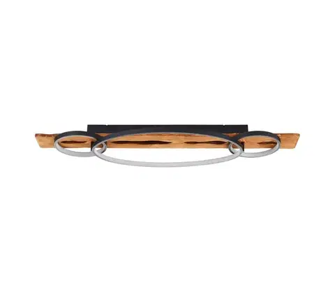 Svietidlá Brilliant - LED stmievateľné stropné svietidlo PIRUS LED/40W/230V 30x90 cm G82020/76