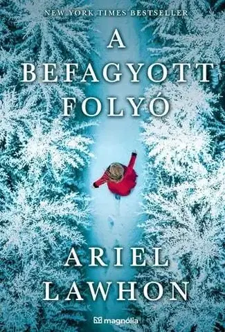 Historické romány A befagyott folyó - Ariel Lawhon