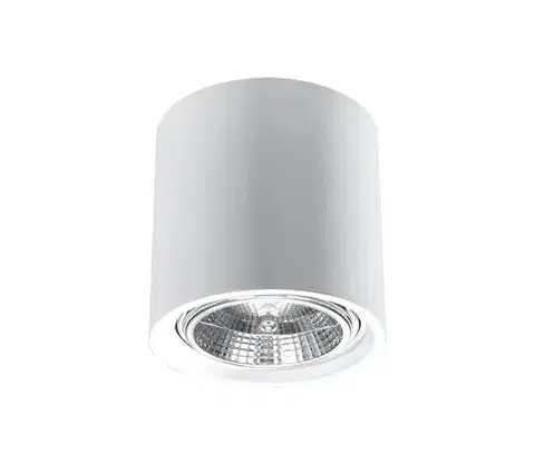 Svietidlá  SL.0841 - Bodové svietidlo KALU 1xGU10/ES111/40W/230V SL.0841