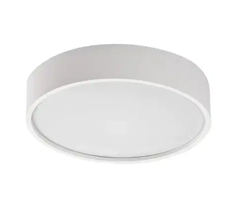 Svietidlá Rabalux 75012 - LED Stropné svietidlo so senzorom LARCIA LED/19W/230V IP44 biela 75012
