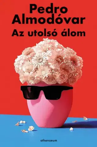 Svetová beletria Az utolsó álom - Pedro Almodóvar
