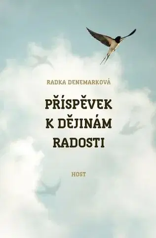 Romantická beletria Příspěvek k dějinám radosti - Radka Denemarková