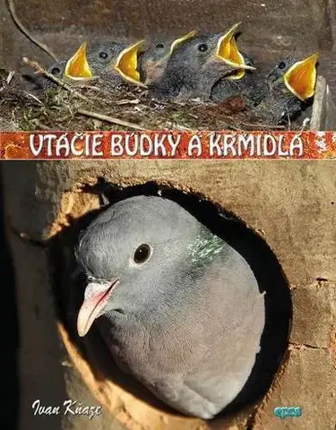 Vtáky, hydina Vtáčie búdky a kŕmidlá - Ivan Kňaze