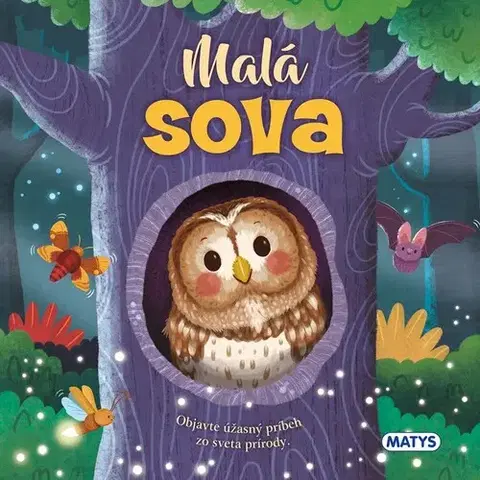 Leporelá, krabičky, puzzle knihy Malá sova - Rose Harkness