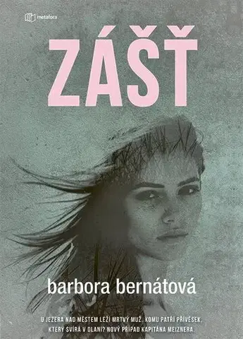 Detektívky, trilery, horory Zášť - Barbora Bernátová