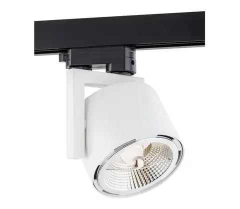 Svietidlá Argon 4750 - Bodové svietidlo ALTO 1xGU10-AR111/12W/230V biela 4750