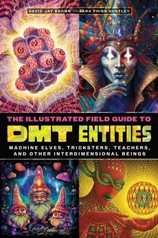 Ezoterika The Illustrated Field Guide to DMT Entities - David Jay Brown,Sara Phinn Huntley