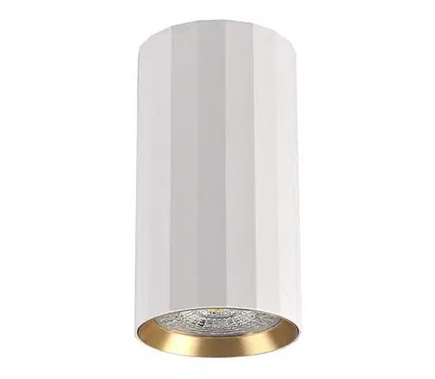 Svietidlá  Bodové svietidlo NICEA 1xGU10/10W/230V biela 323460