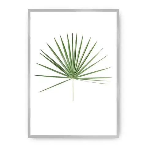 Obrazy Plagát Tropical Leaf Green