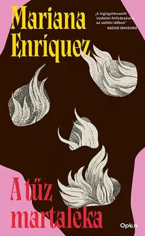 Novely, poviedky, antológie A tűz martaléka - Mariana Enríquezová