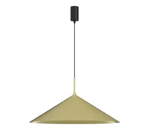 Svietidlá  Luster na lankách CAPITAL 1xGX53/15W/230V pr. 60 cm zlatý MLP0945