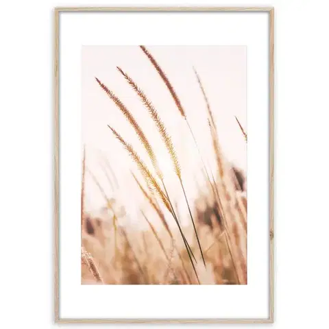 Dekorácie a bytové doplnky Artbox Digi 50x70 Ab078 Grasses I