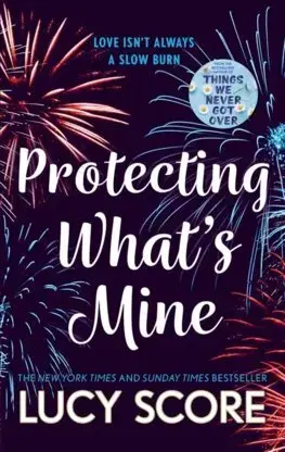 Romantická beletria Protecting What's Mine - Lucy Score